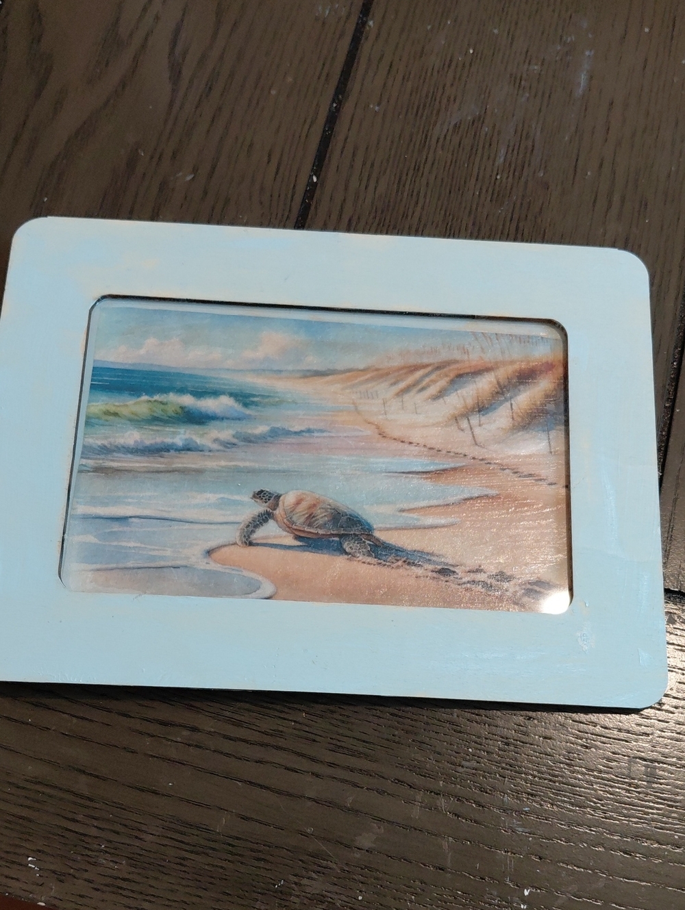 Coastal Sea Turtle Photo Frame - Light Blue